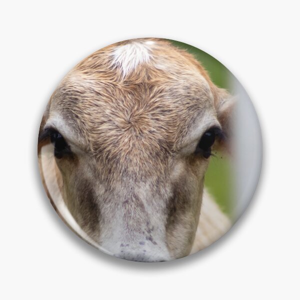 Item preview, head of veal designed and sold by ricobarinas.
