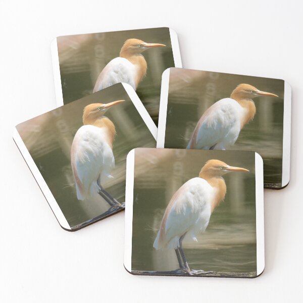 Item preview, Cattle Egret designed and sold by D-GaP.