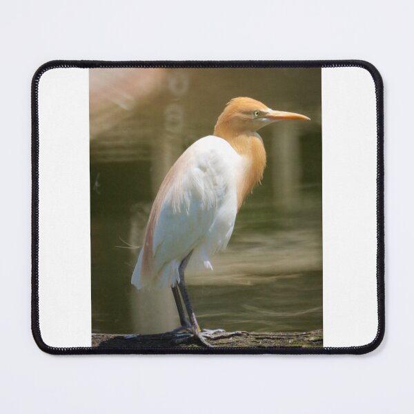 Item preview, Cattle Egret designed and sold by D-GaP.