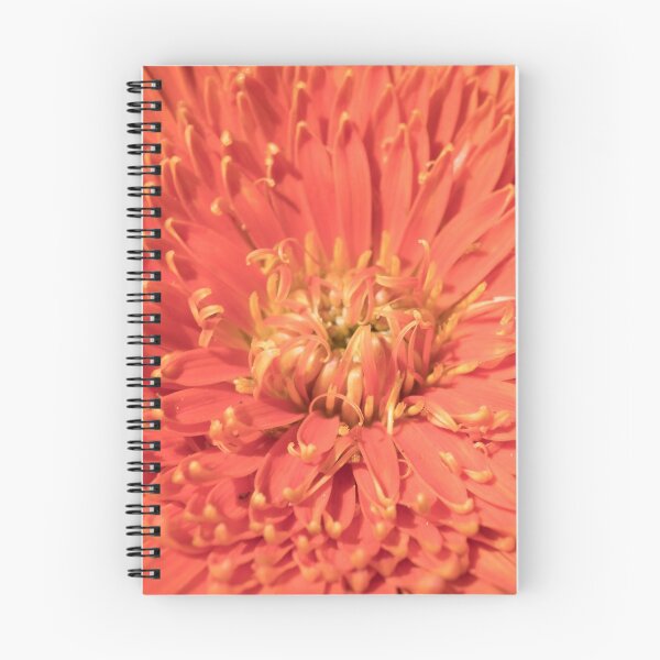 Item preview, Gerbera - at the centre  designed and sold by DPalmer.