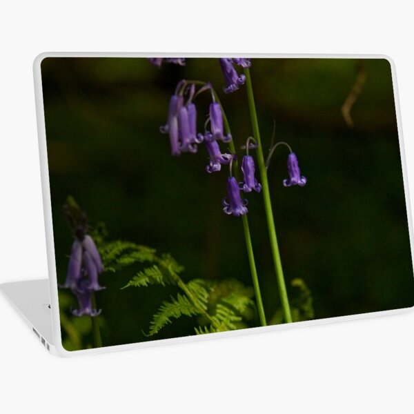 Two Bluebells in Prehen Woods, Derry Laptop Skin