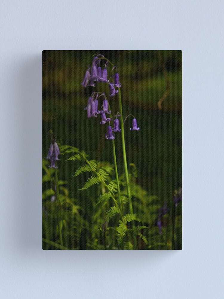 Alternate view of Two Bluebells in Prehen Woods, Derry Canvas Print