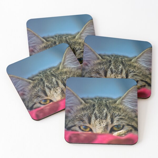 Item preview, Cat Spying designed and sold by Rick Knowles Photo Art.