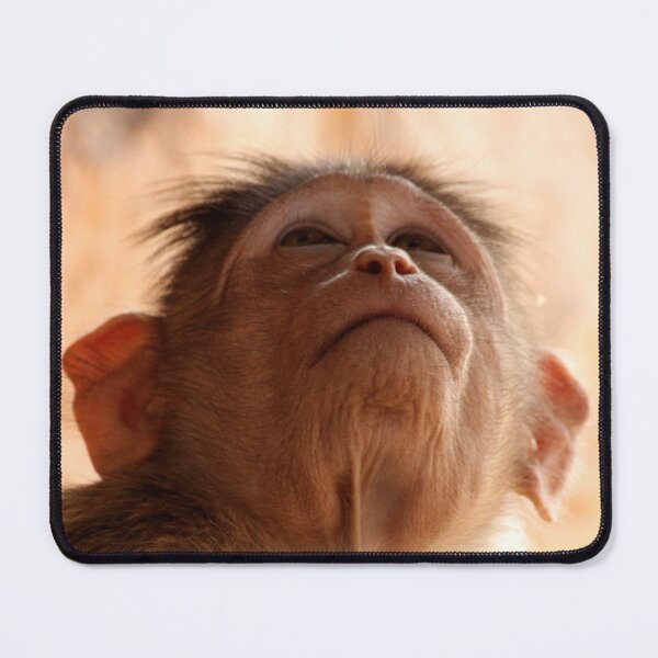 Item preview, Bonnet Macaque Monkey designed and sold by VgBingi.