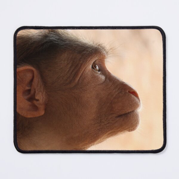 Item preview, Bonnet Macaque Monkey designed and sold by VgBingi.