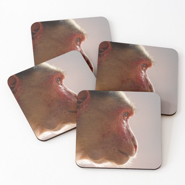Item preview, Bonnet Macaque Monkey designed and sold by VgBingi.
