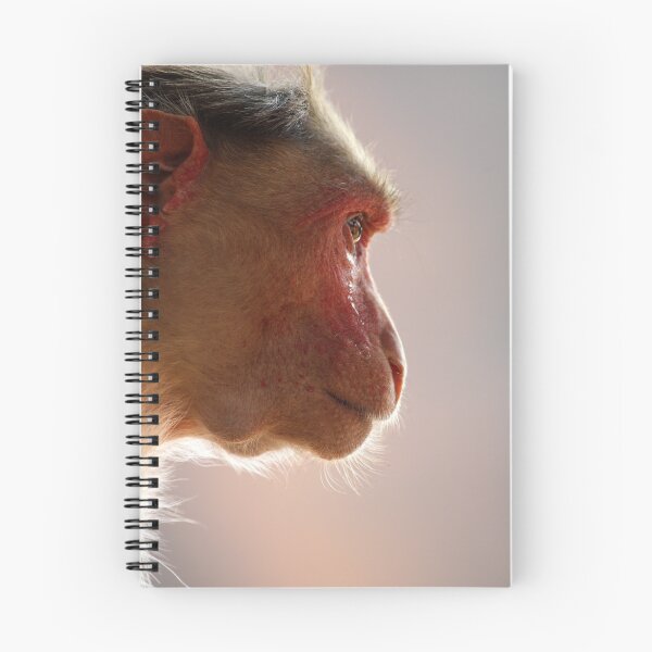 Item preview, Bonnet Macaque Monkey designed and sold by VgBingi.