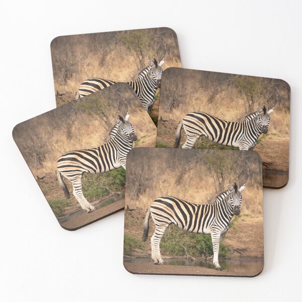 Item preview, Zebra designed and sold by TJMPHOTOGRAPHY.