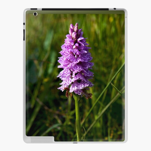 Spotted Orchid, Kilclooney, Donegal iPad Skin