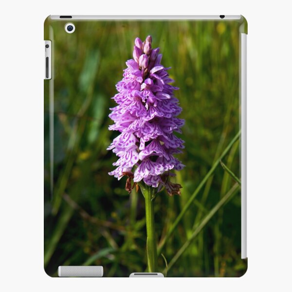 Spotted Orchid, Kilclooney, Donegal iPad Snap Case