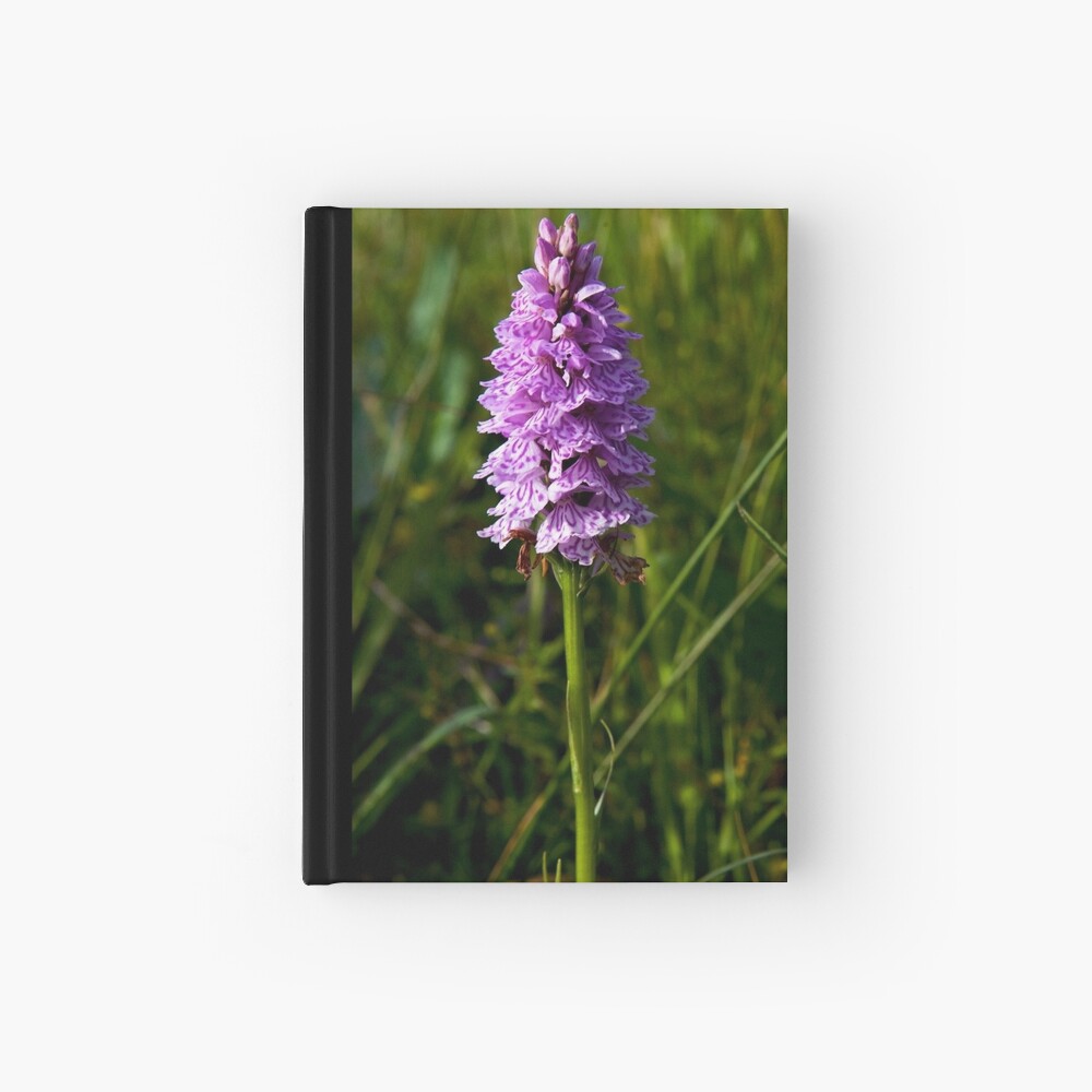 Spotted Orchid, Kilclooney, Donegal Hardcover Journal