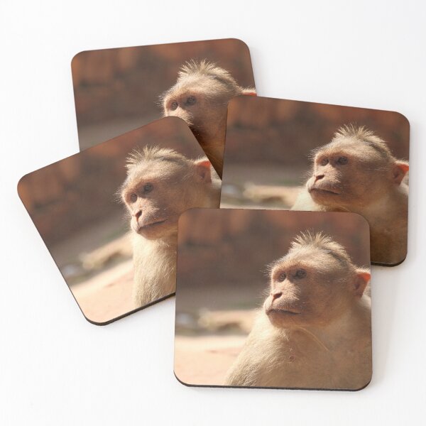 Item preview, Bonnet Macaque Monkey designed and sold by VgBingi.