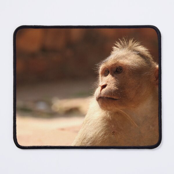 Item preview, Bonnet Macaque Monkey designed and sold by VgBingi.