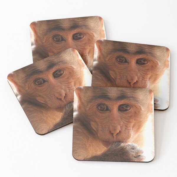 Item preview, Bonnet Macaque Monkey designed and sold by VgBingi.