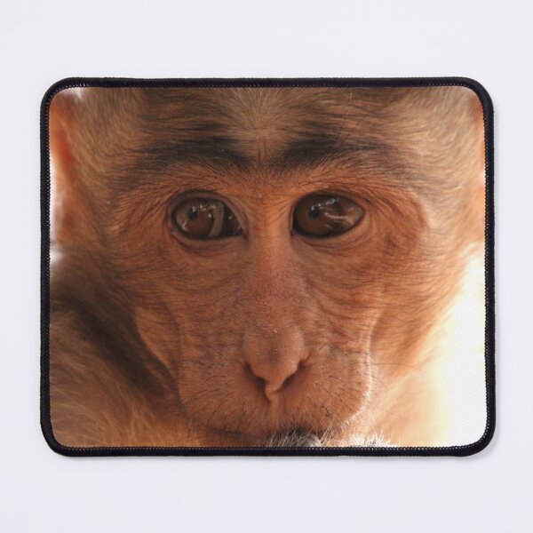 Item preview, Bonnet Macaque Monkey designed and sold by VgBingi.