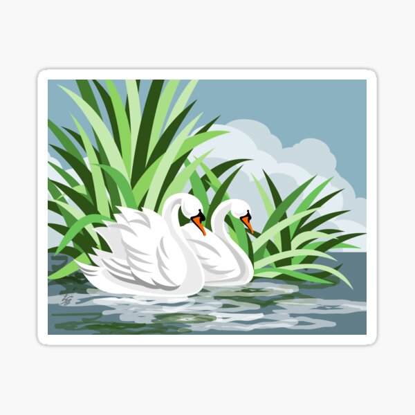 Mute Swans On Water Sticker