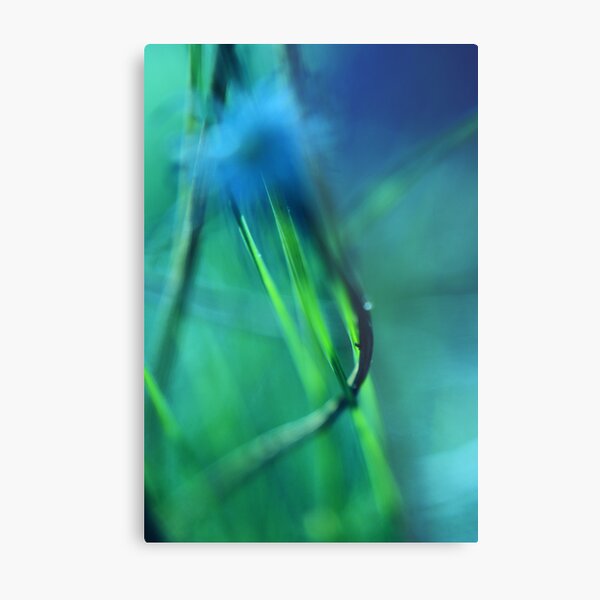 agonie Metal Print