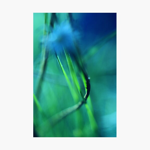 agonie Photographic Print