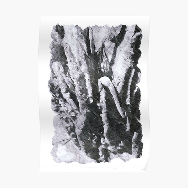 Carrickalina Sponge Poster