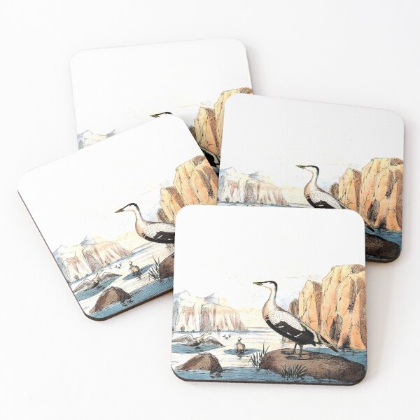 Item preview, Antique Sea Bird Engraving designed and sold by louisxvpod.