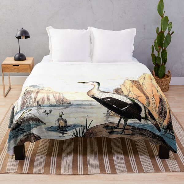 Item preview, Antique Sea Bird Engraving designed and sold by louisxvpod.