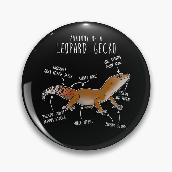 Item preview, Super Hypo Tangerine Leopard Gecko Lizard Reptile Anatomy designed and sold by Clara Hollins.