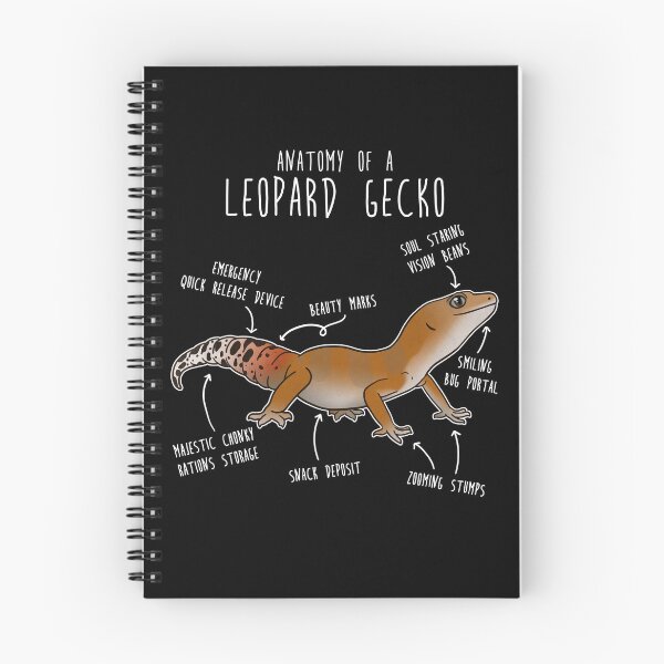 Item preview, Super Hypo Tangerine Leopard Gecko Lizard Reptile Anatomy designed and sold by Clara Hollins.