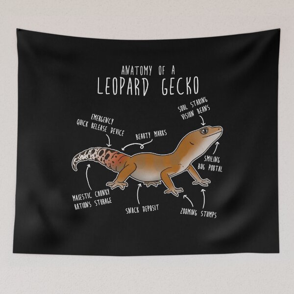 Item preview, Super Hypo Tangerine Leopard Gecko Lizard Reptile Anatomy designed and sold by Clara Hollins.