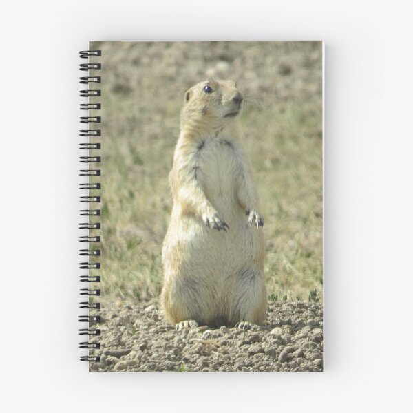 Item preview, Prairie Dog SD-3 designed and sold by MaryLinH.