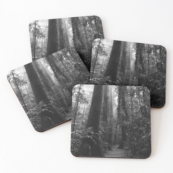 Item preview, Path between the trees, Mary Cairncross Park designed and sold by photosbymia.