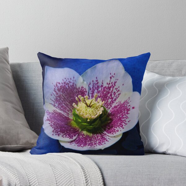 Item preview, Hellebore Flower Head designed and sold by George Row.