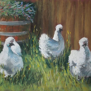 Artwork thumbnail, Free Range Silkies by Dianne Ilka