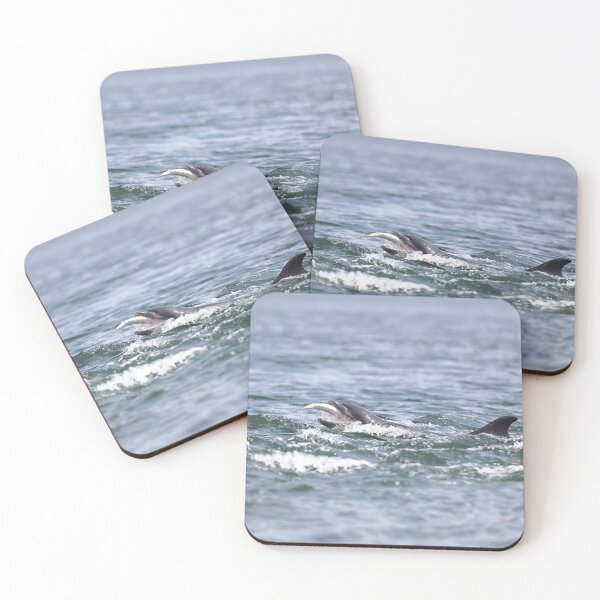 Item preview, Wild dolphin eating salmon fish designed and sold by chanonry.