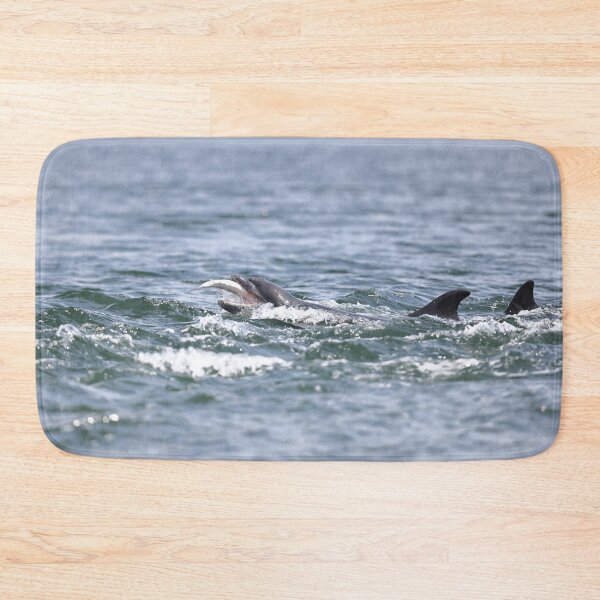 Item preview, Wild dolphin eating salmon fish designed and sold by chanonry.