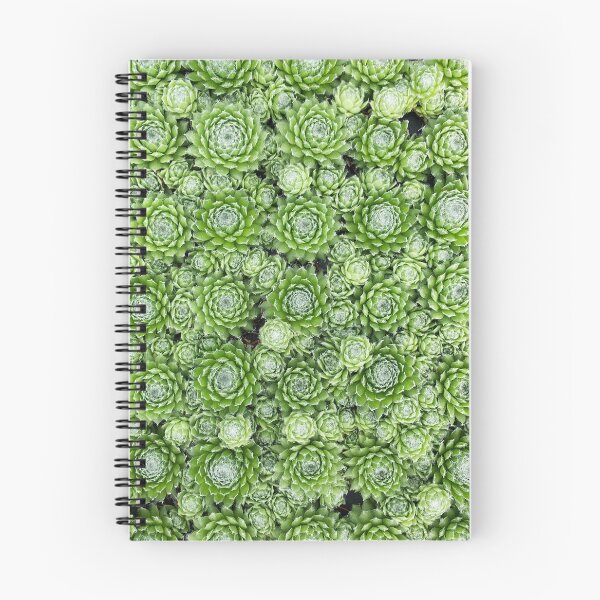 Item preview, PTRN 035 - Cactus perspective designed and sold by enchantedsofa.