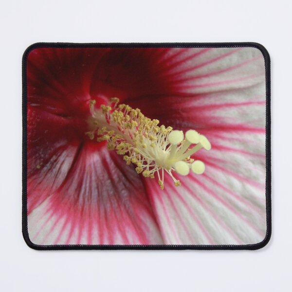 Item preview, Hibiscus macro designed and sold by Rebekah  McLeod.