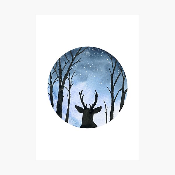 The Stag on a Winter Night Photographic Print