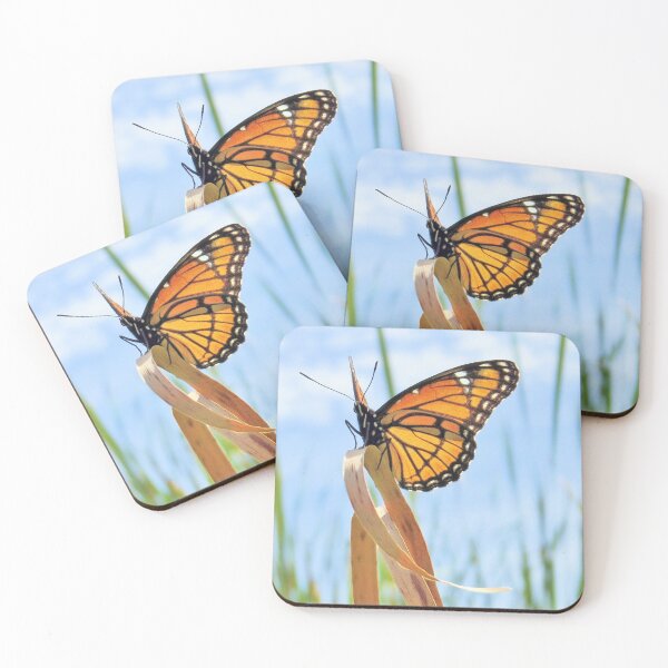 Item preview, Viceroy Butterfly designed and sold by MaryLinH.