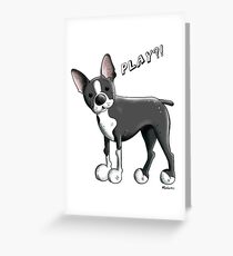 Boston Terrier Dog Cartoon Greeting Card