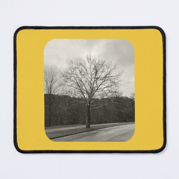 Item preview, Tree At Letchworth State Park In The Winter designed and sold by TechLaughs.