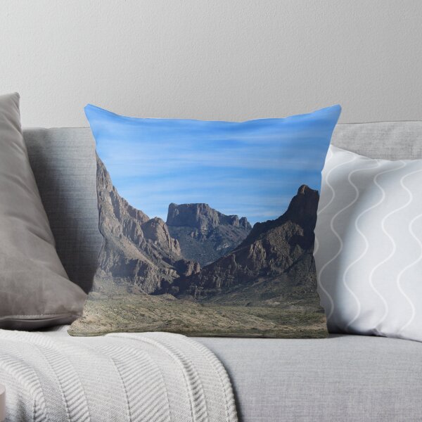 https://ih1.redbubble.net/image.4677236489.6219/throwpillow,small,600x-bg,f8f8f8-c,0,120,600,600.jpg