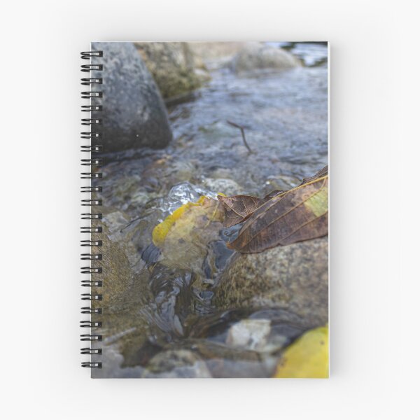 Item preview, h2o designed and sold by ricobarinas.