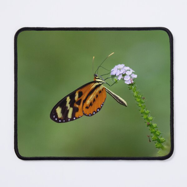 Item preview, the butterfly on the flower designed and sold by ricobarinas.