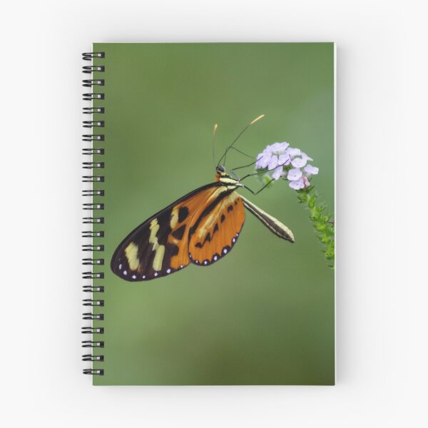 Item preview, the butterfly on the flower designed and sold by ricobarinas.