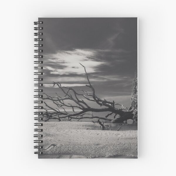 Item preview, Dead Tree laying in the sand of beach at the ocean designed and sold by EnR-designs.