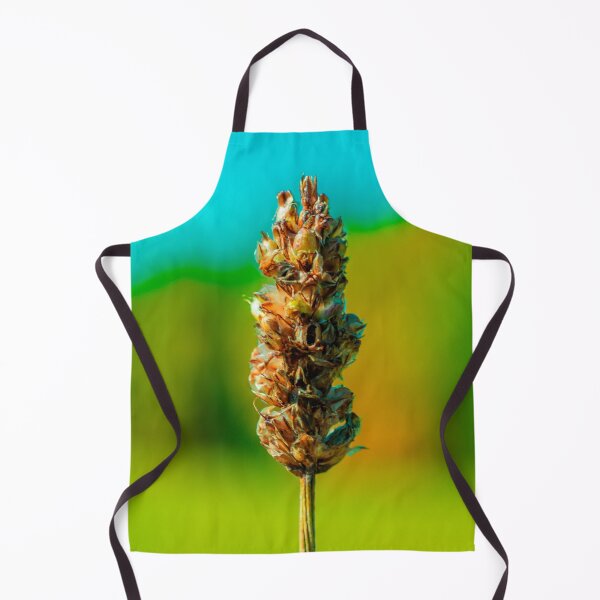 Item preview, Autumn color closeup of plant designed and sold by EnR-designs.