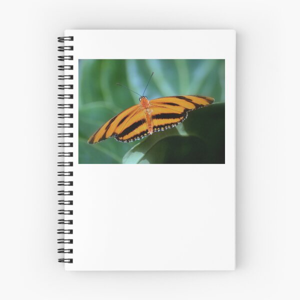 Item preview, Banded Orange Butterfly designed and sold by Laurie Minor.