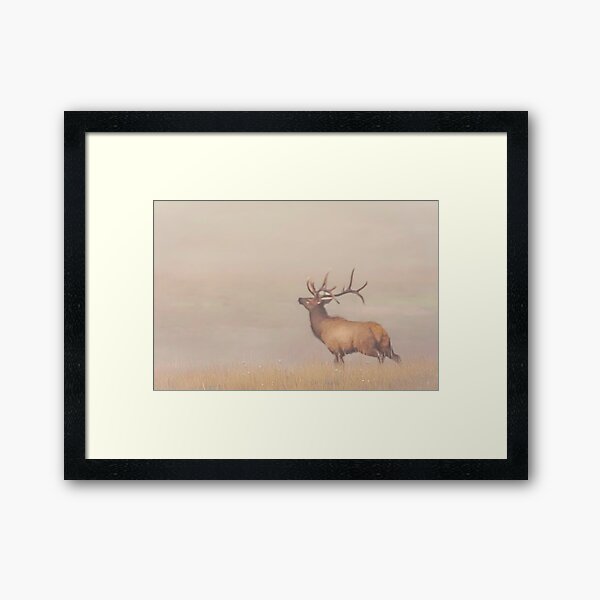 Item preview, Foggy Bottom Bull Elk designed and sold by Rodney55.
