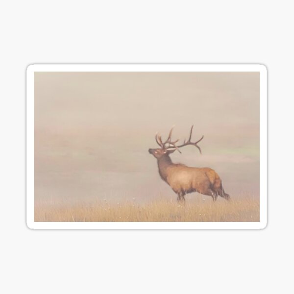 Item preview, Foggy Bottom Bull Elk designed and sold by Rodney55.