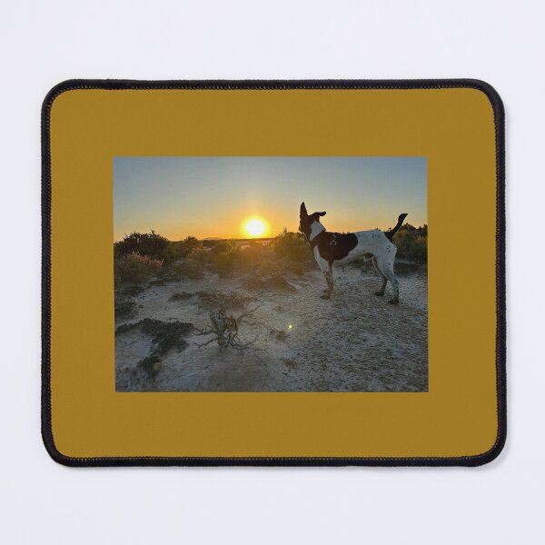 Item preview, Sunset designed and sold by SpaceRiver.